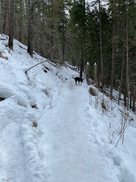 Jerry Johnson Hot Springs