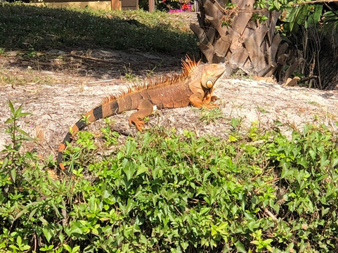 CGT Kayaks-博尼塔斯普林斯必去景点