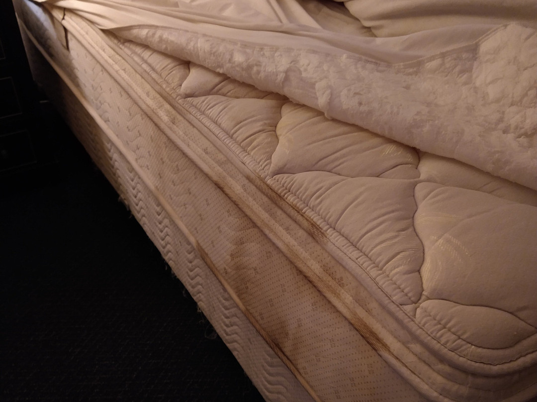 Calipatria Inn & Suites主图