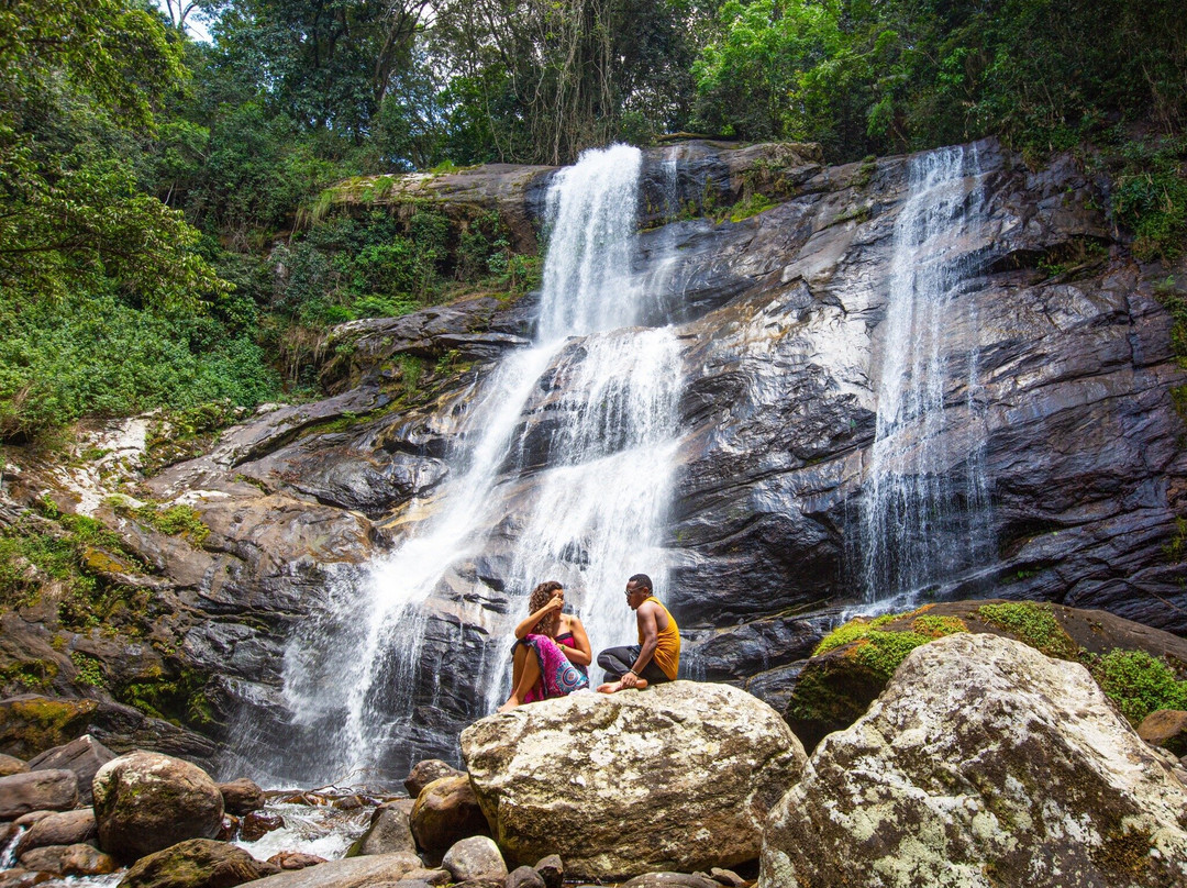 null-Udzungwa Mountains National Park