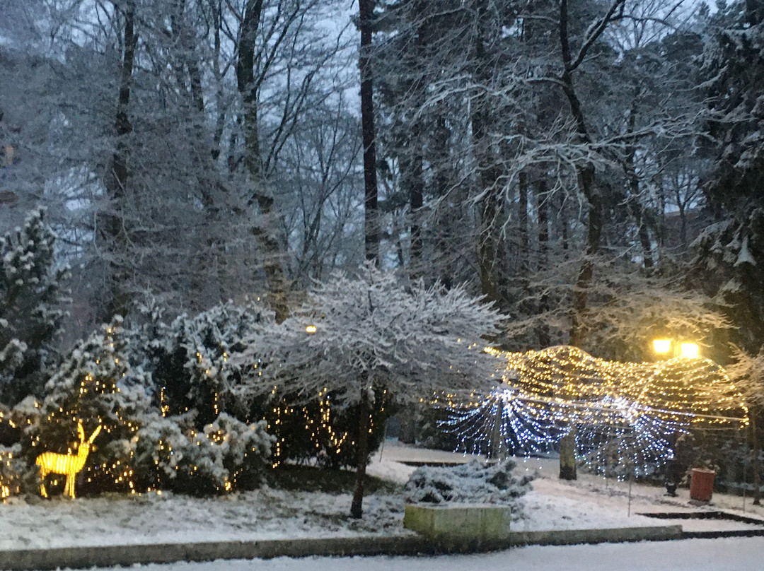 Planeta-斯韦特洛戈尔斯克必去景点