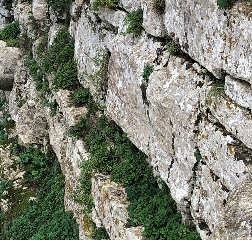 Castello di Calatubo-Alcamo必去景点