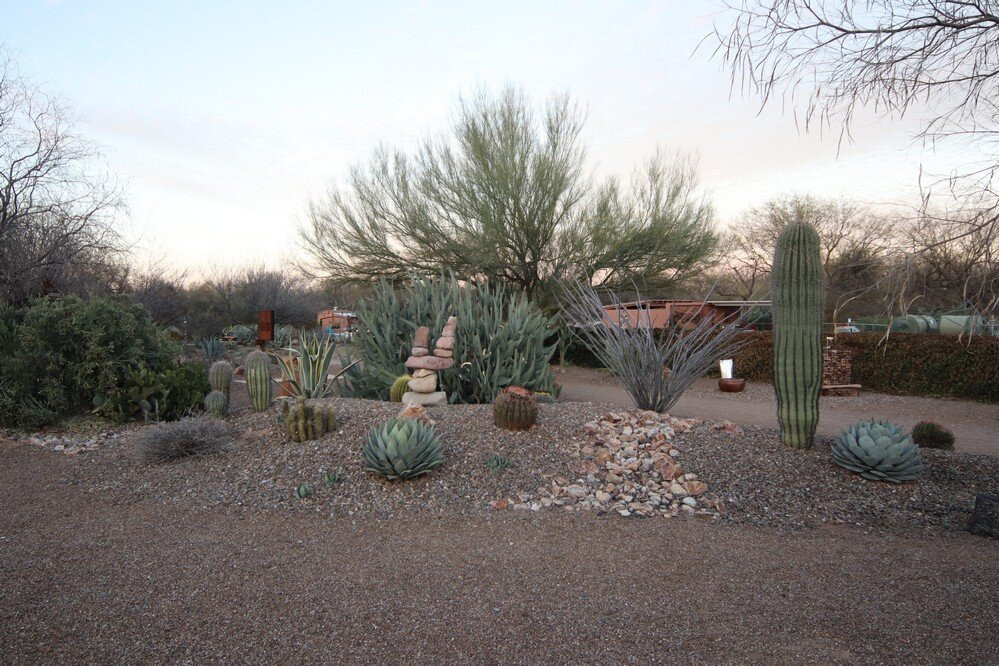 Desert Meadows Park景点图片