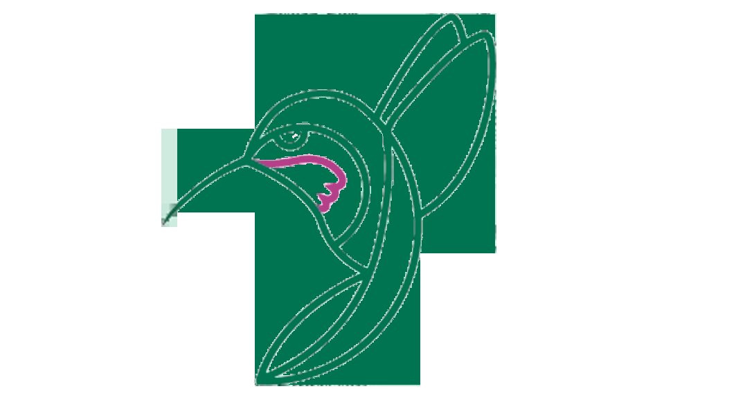 Sheartail Expeditions-塞莱斯顿必去景点