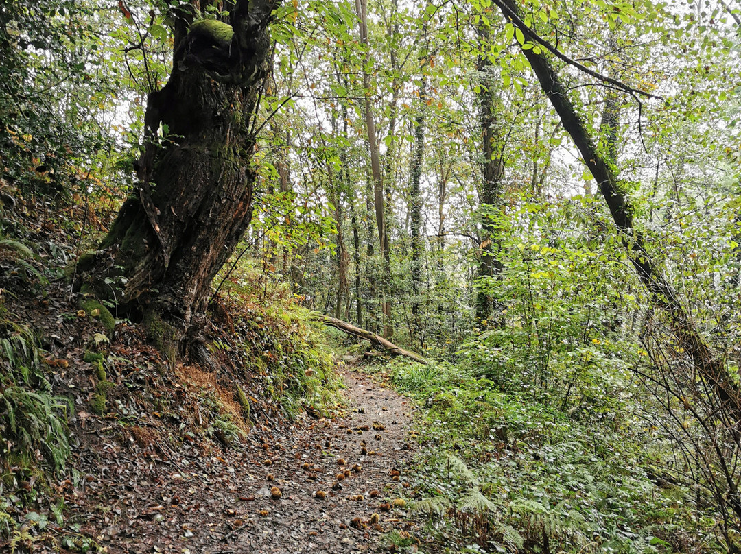 El Camino De Santiago-圣地亚哥德孔波斯特拉必去景点