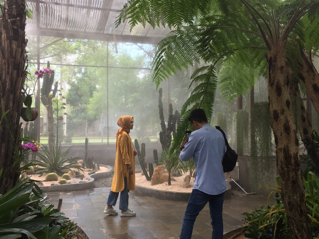 Rumah Ulin Arya景点图片