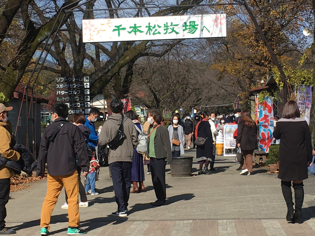 Senbonmatsu Dairy Farm-那须盐原市必去景点
