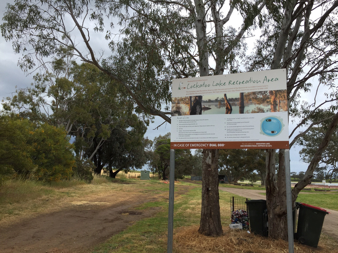 Cockatoo Lake Recreation Reserve-Naracoorte必去景点