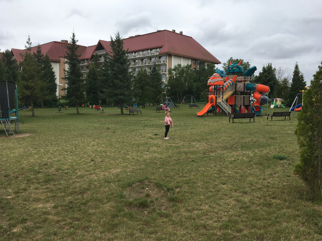 Hotel Gołębiewski主图