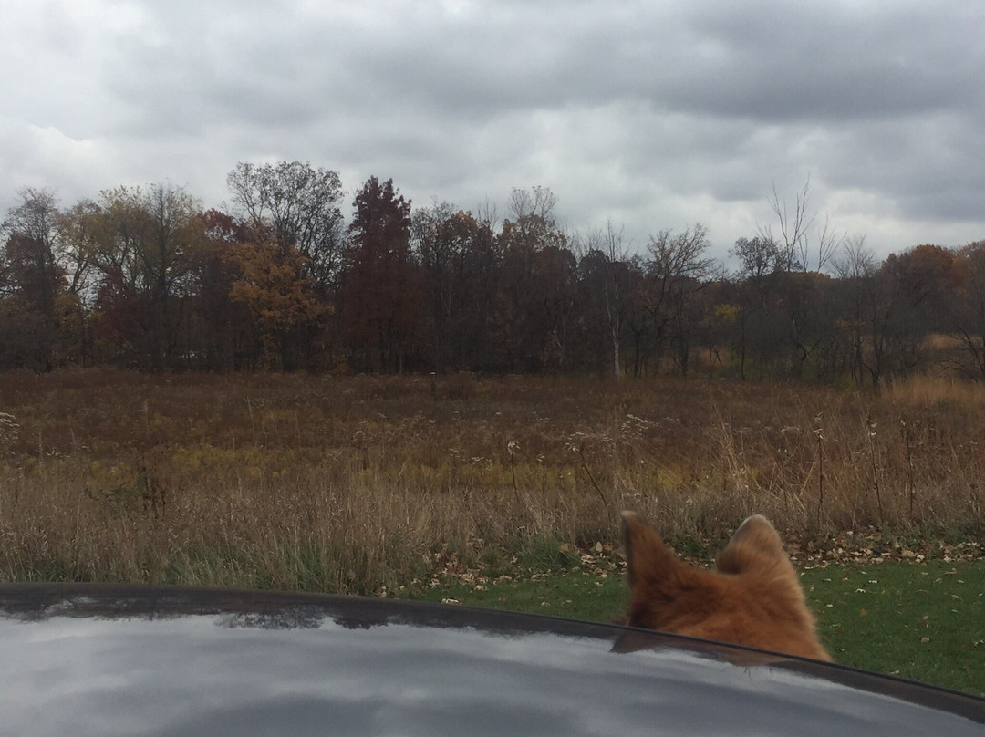 Hickory Creek Preserve-Mokena必去景点