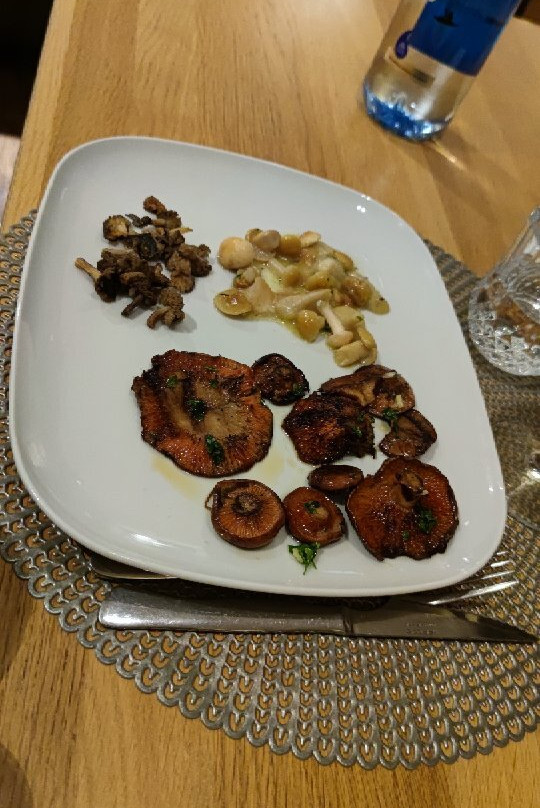 Bonansa Country Hotel主图