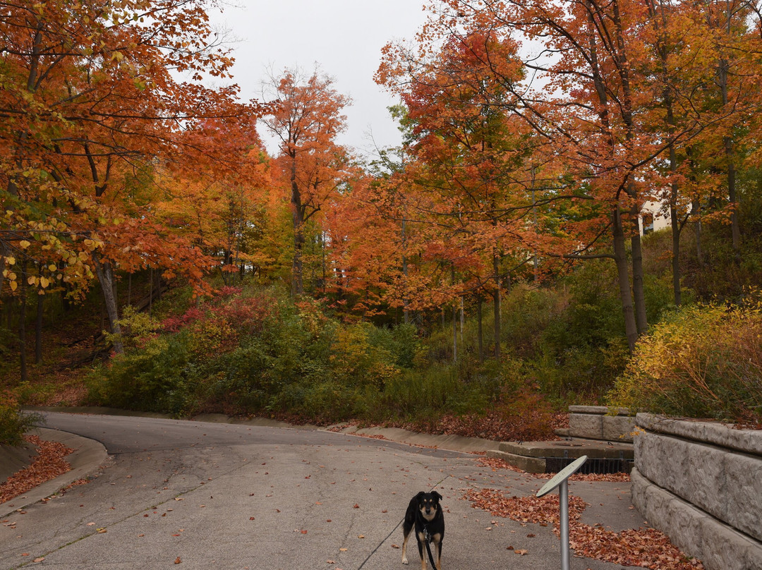 Openlands Lakeshore Preserve-Highland Park必去景点