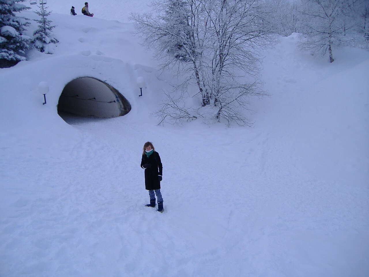 Auberge Du Virage Le Recoin Chamrousse-酒店景观