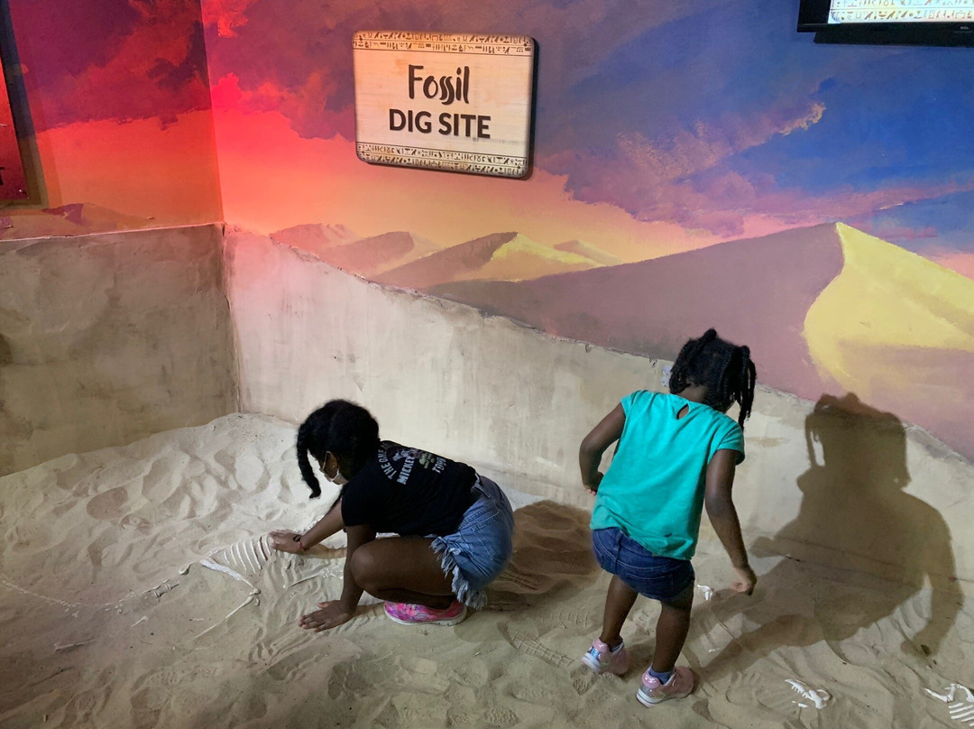 Woodbridge Aquarium & Wildlife景点图片