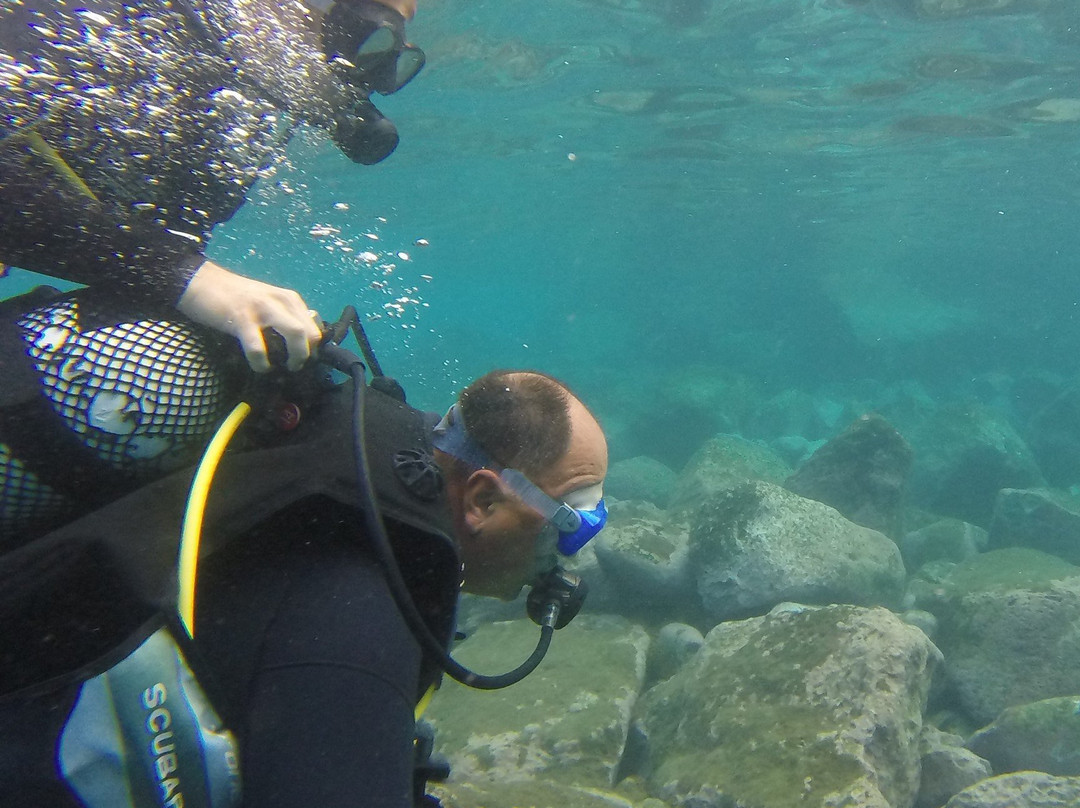 Delphinus Diving School-莫干港必去景点