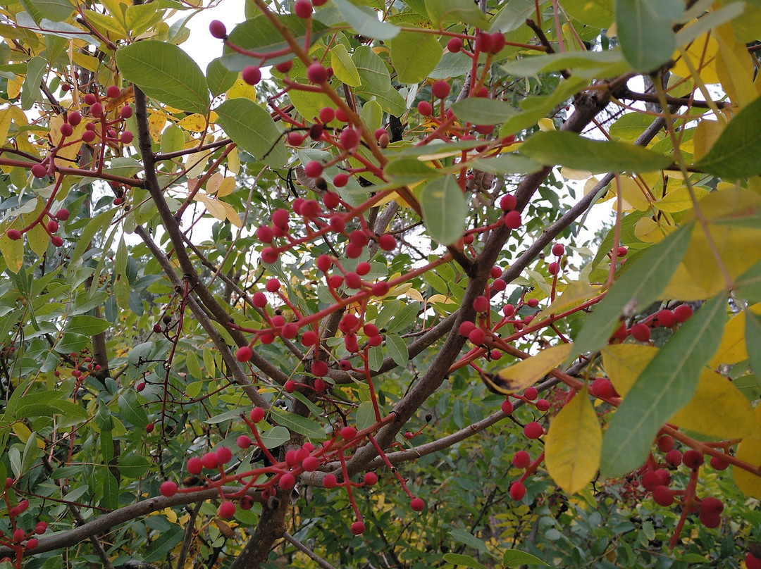 Banos de Popea-科尔多瓦必去景点