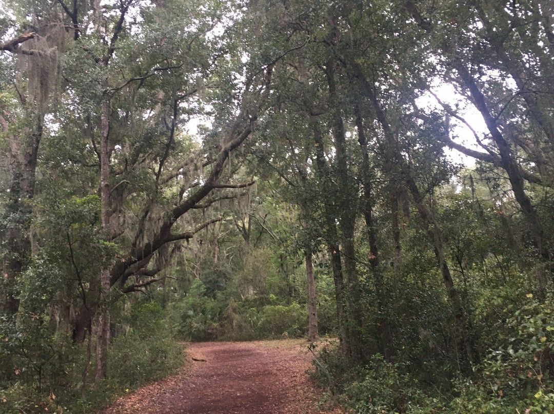 Historic Mitchelville Freedom Park-希尔顿头岛必去景点