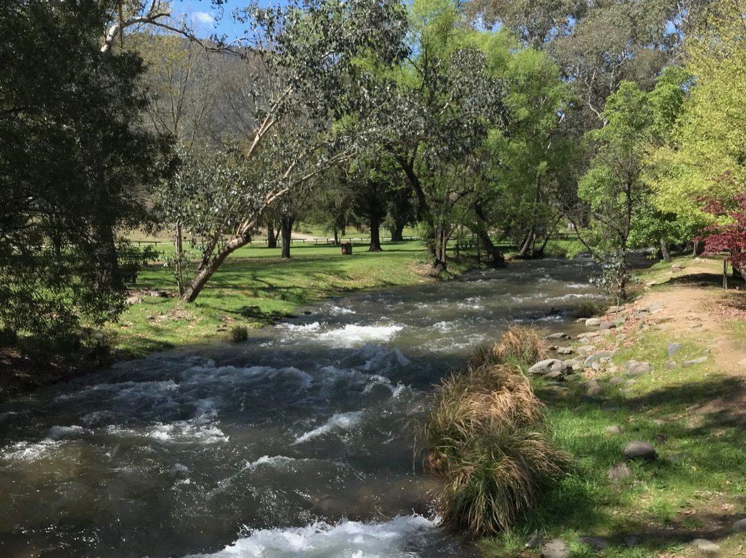 Tavare Park-Harrietville必去景点