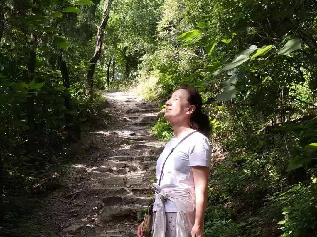 黄岗梁国家森林公园-克什克腾旗必去景点