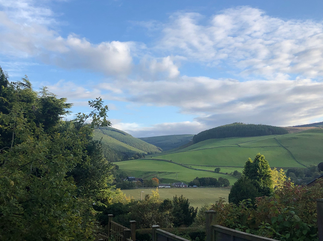 Windlestraw Guesthouse主图