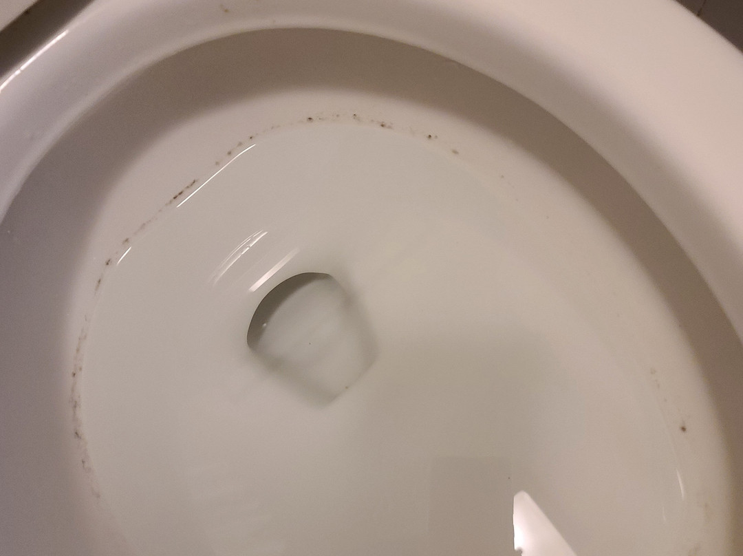 The Springs Motel主图