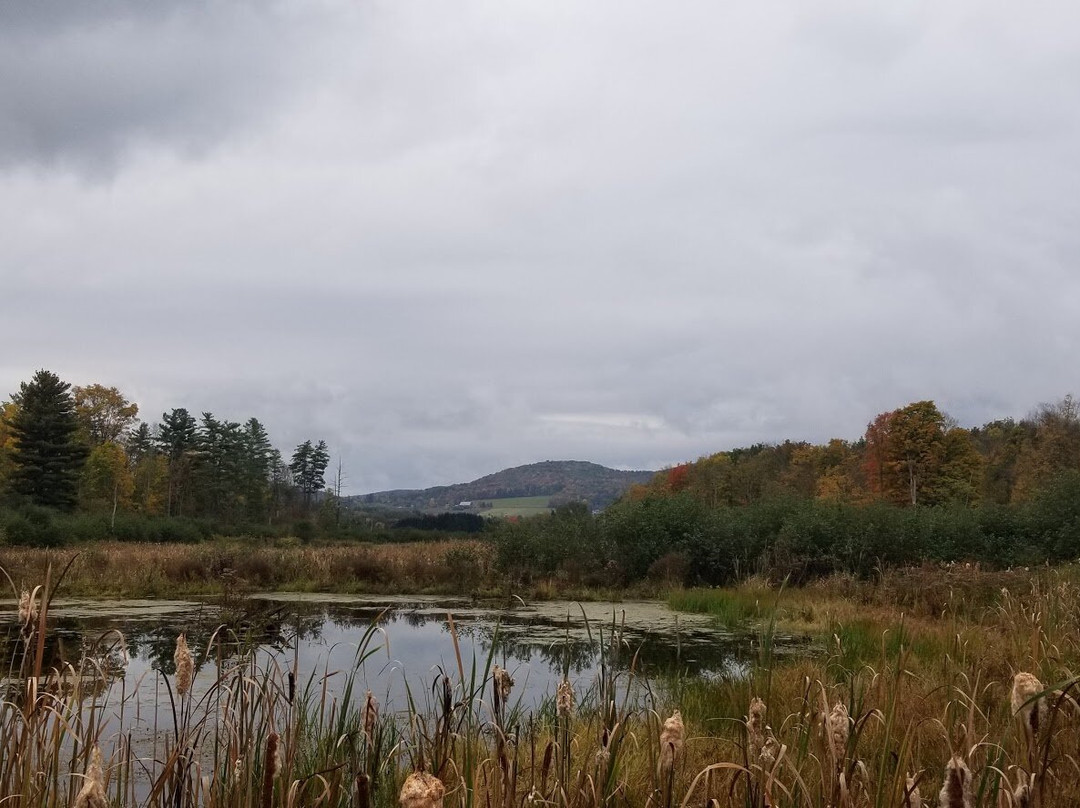 Thomas Farm Bed & Breakfast主图