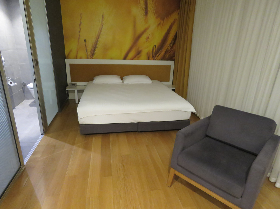 Tav Airport Hotel Izmir主图
