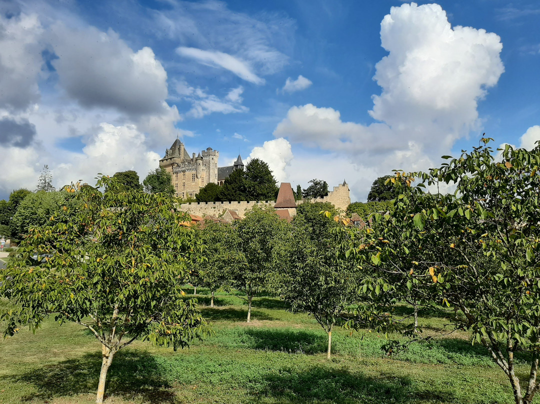 Chateau de Montfort景点图片