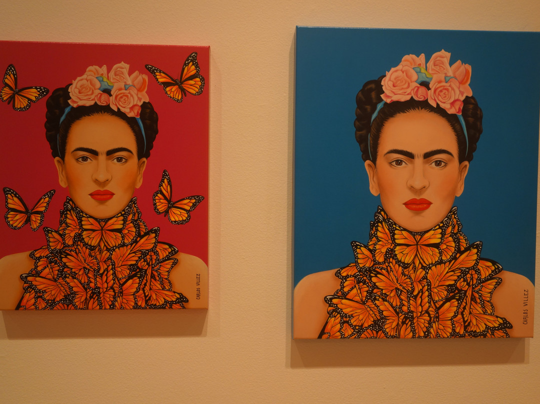 California Center for the Arts, Escondido景点图片