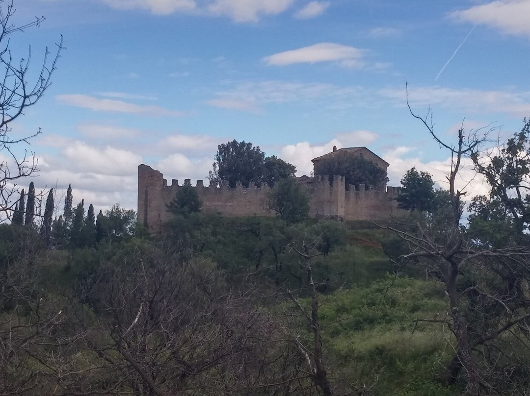 Castello di Montegualandro景点图片