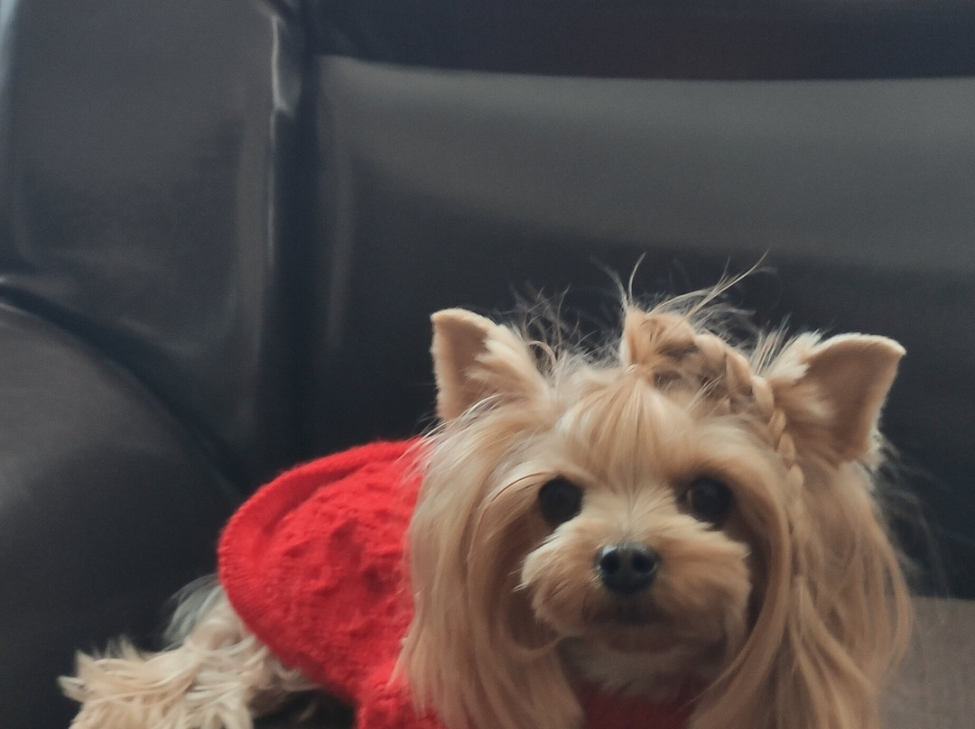 Palais Royal Hotel Restaurant Spa主图