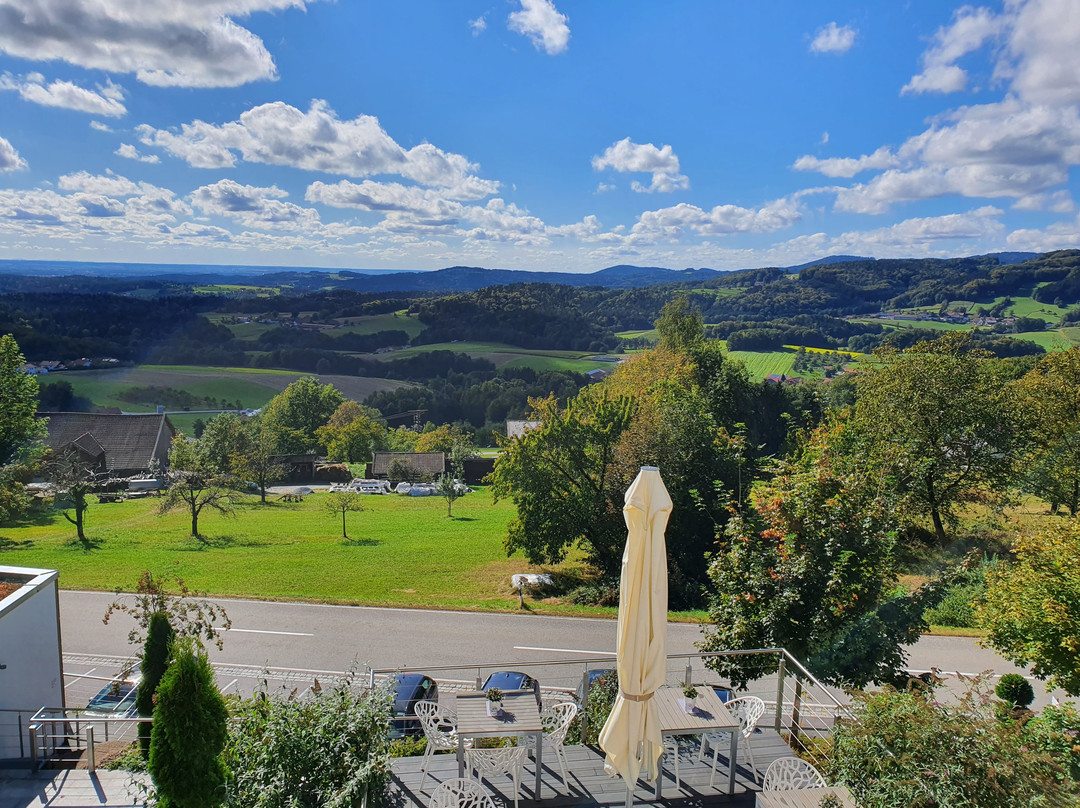 Thula Wellnesshotel Bayerischer Wald主图