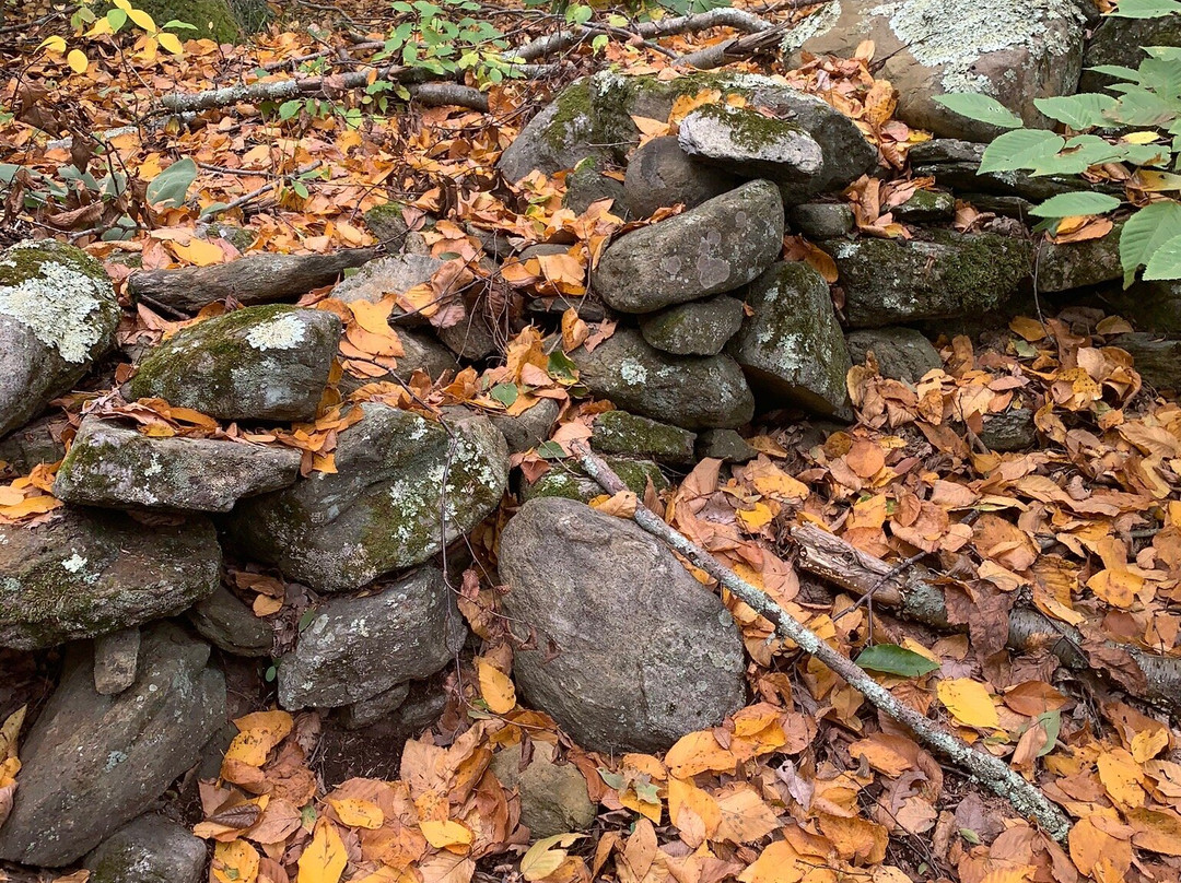 George C. Waldo State Park-绍斯伯里必去景点