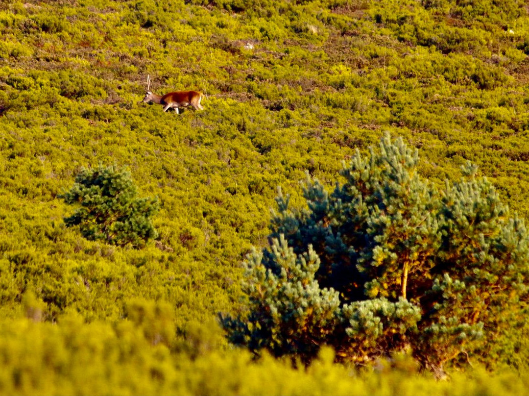 Silvestres-艾斯卡拉伊必去景点