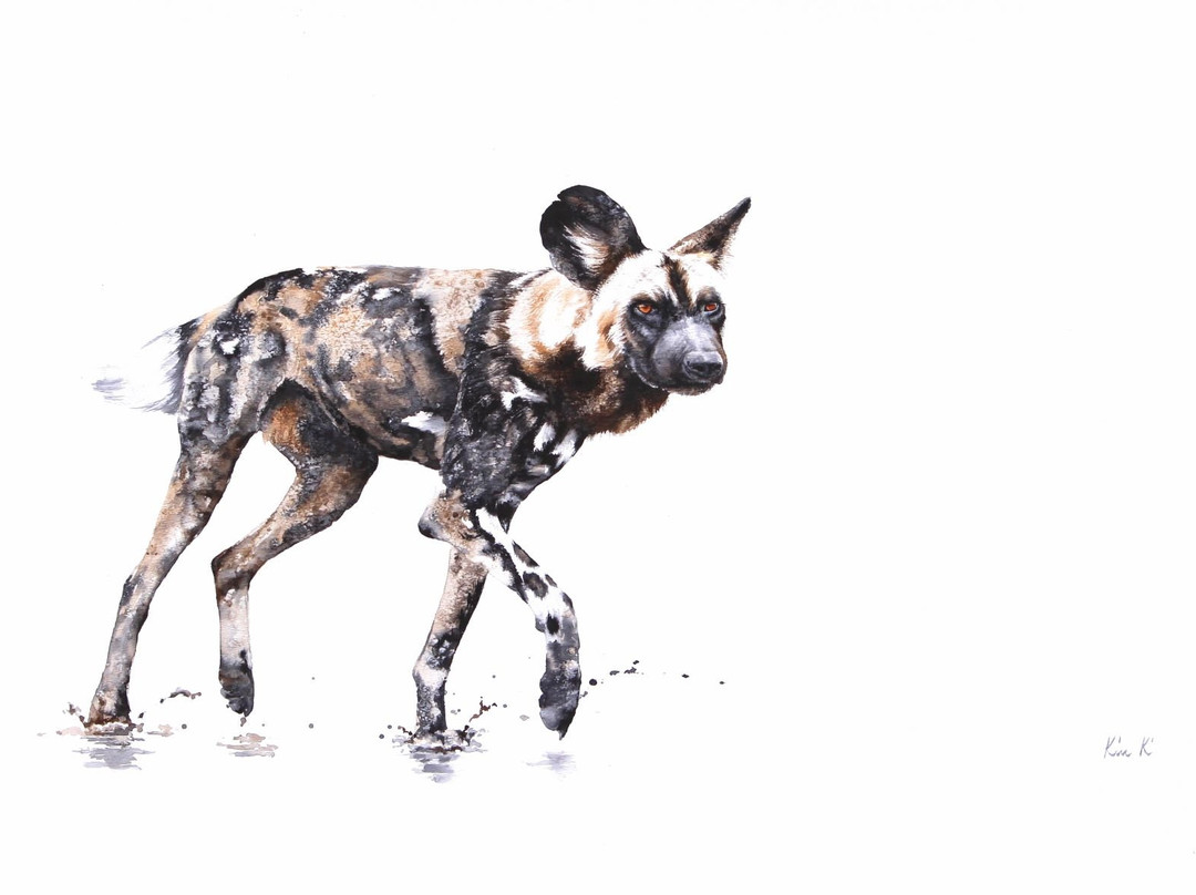 Warren Cary Wildlife Gallery-霍德斯普鲁特必去景点