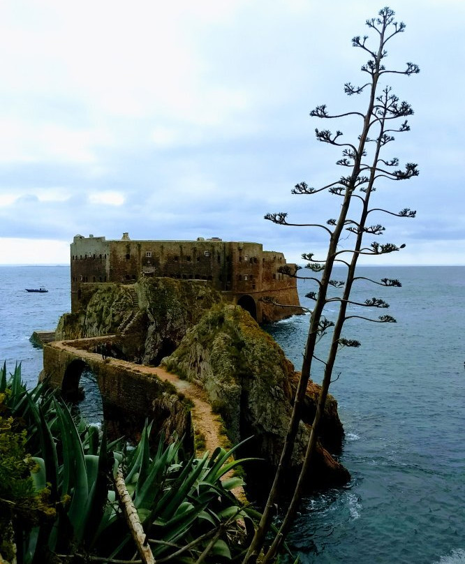 Berlengoest actividades maritimo-turisticas Lda-佩尼切必去景点