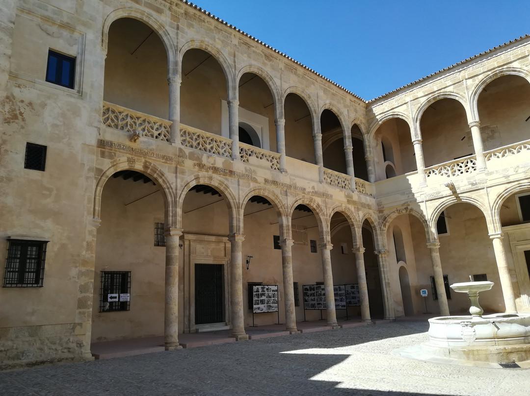 Castillo-Palacio de los Ribera景点图片
