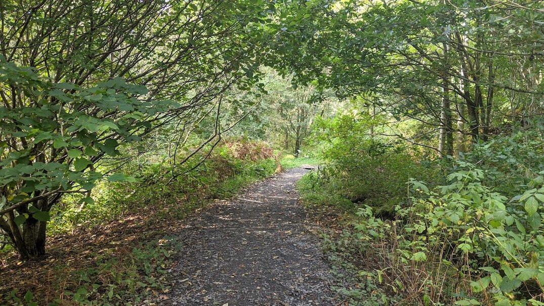 Clachan of Campsie-Campsie Glen必去景点