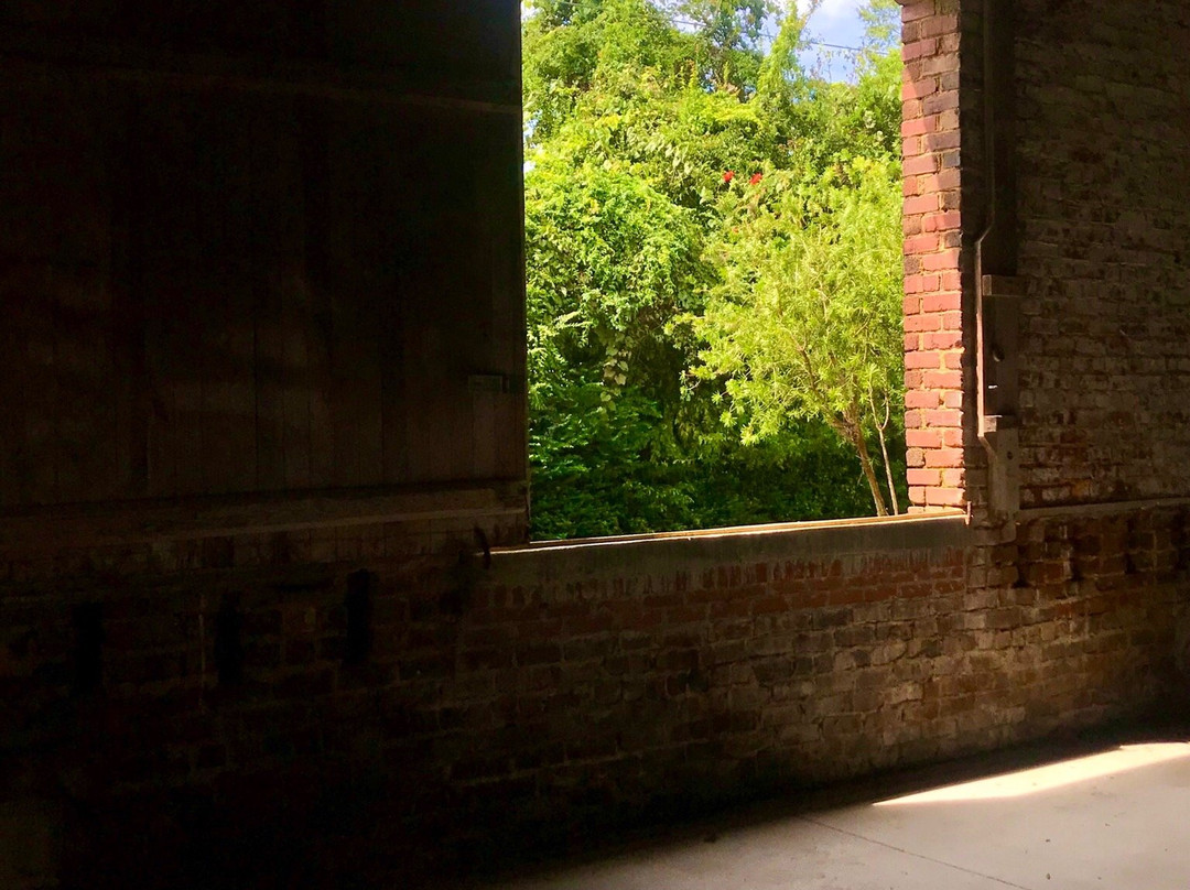 Spanish Moss Trail-博福特必去景点