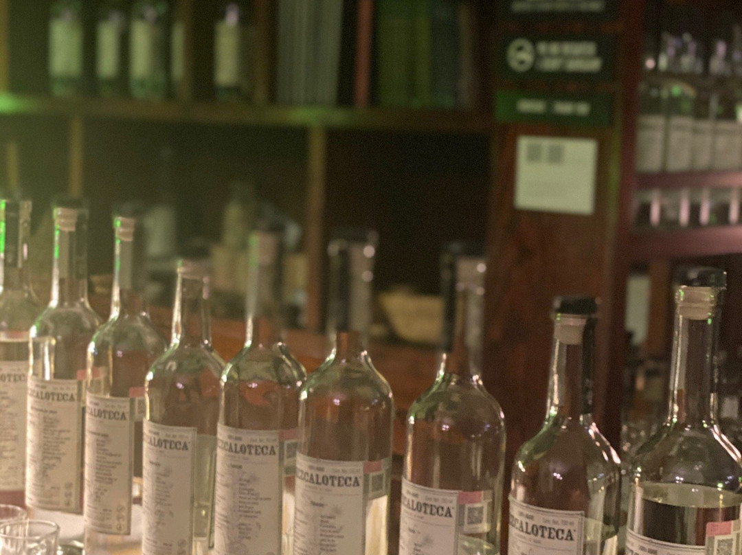 Mezcaloteca-瓦哈卡必去景点