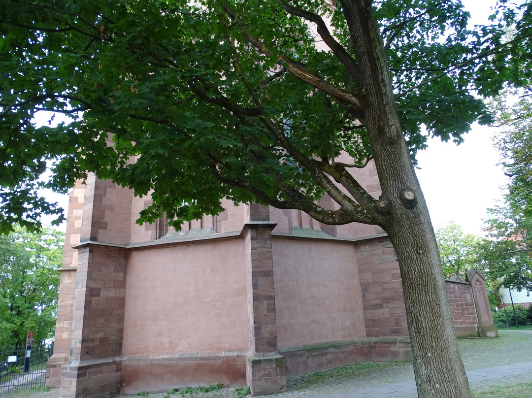 Schlosskirche St. Michael景点图片