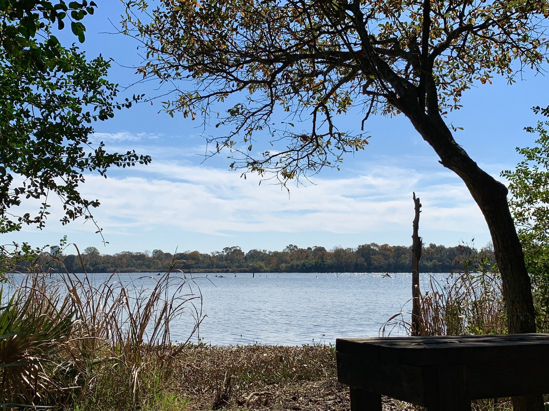 Armand Bayou Nature Center景点图片