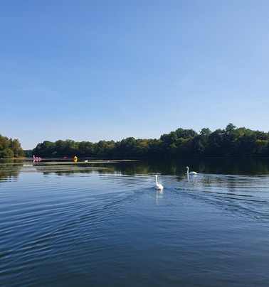 Unterbacher See-杜塞尔多夫必去景点