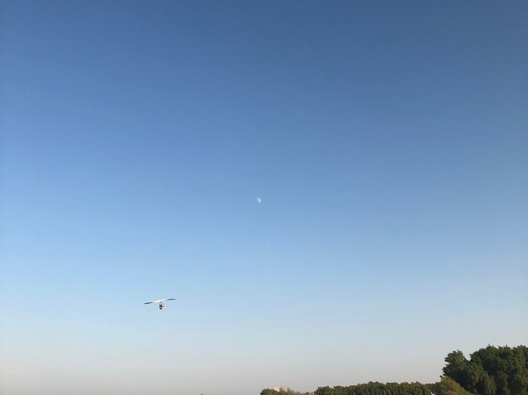 Seashell Julaia Hotel & Resort主图