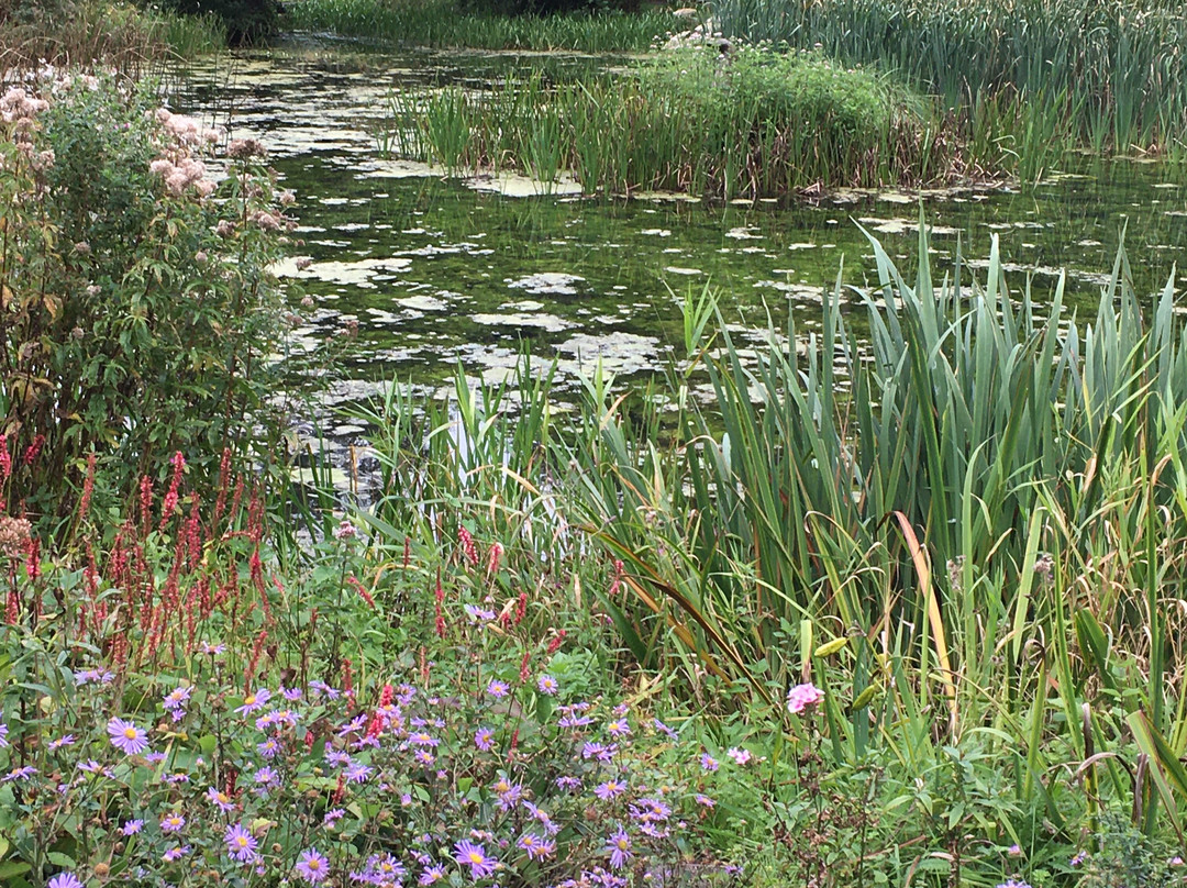 Gooderstone Water Gardens & Nature Trails景点图片