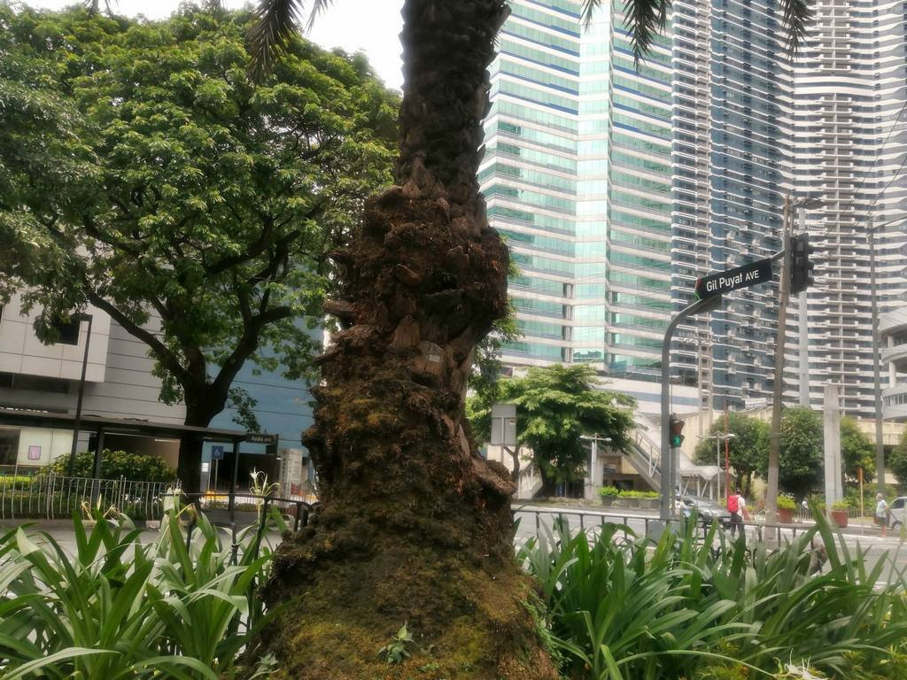 Washington SyCip Park-马卡蒂必去景点