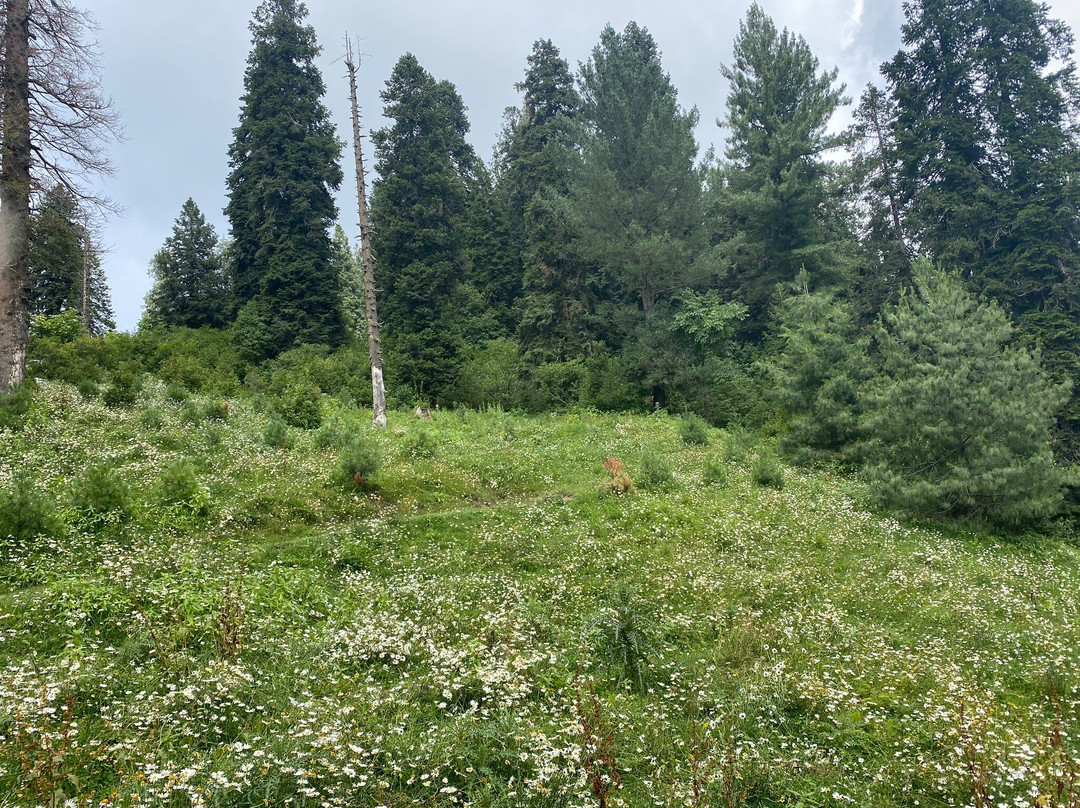 Mukshpuri Peak-Nathia Gali必去景点