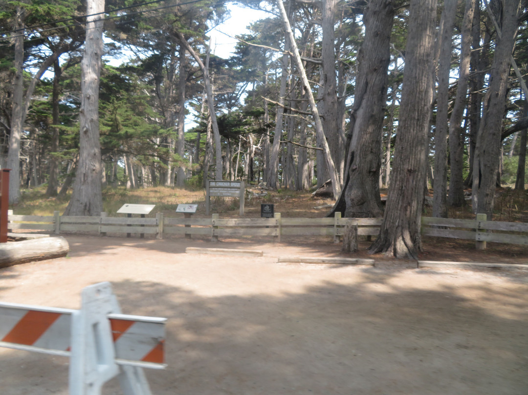 Crocker Grove-圆石滩必去景点