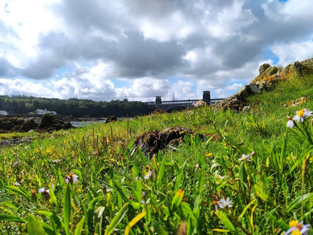 Britannia Bridge景点图片