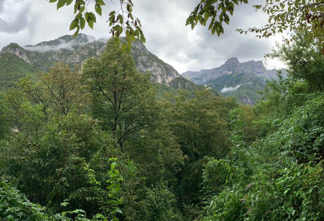 Villa del Cigno主图